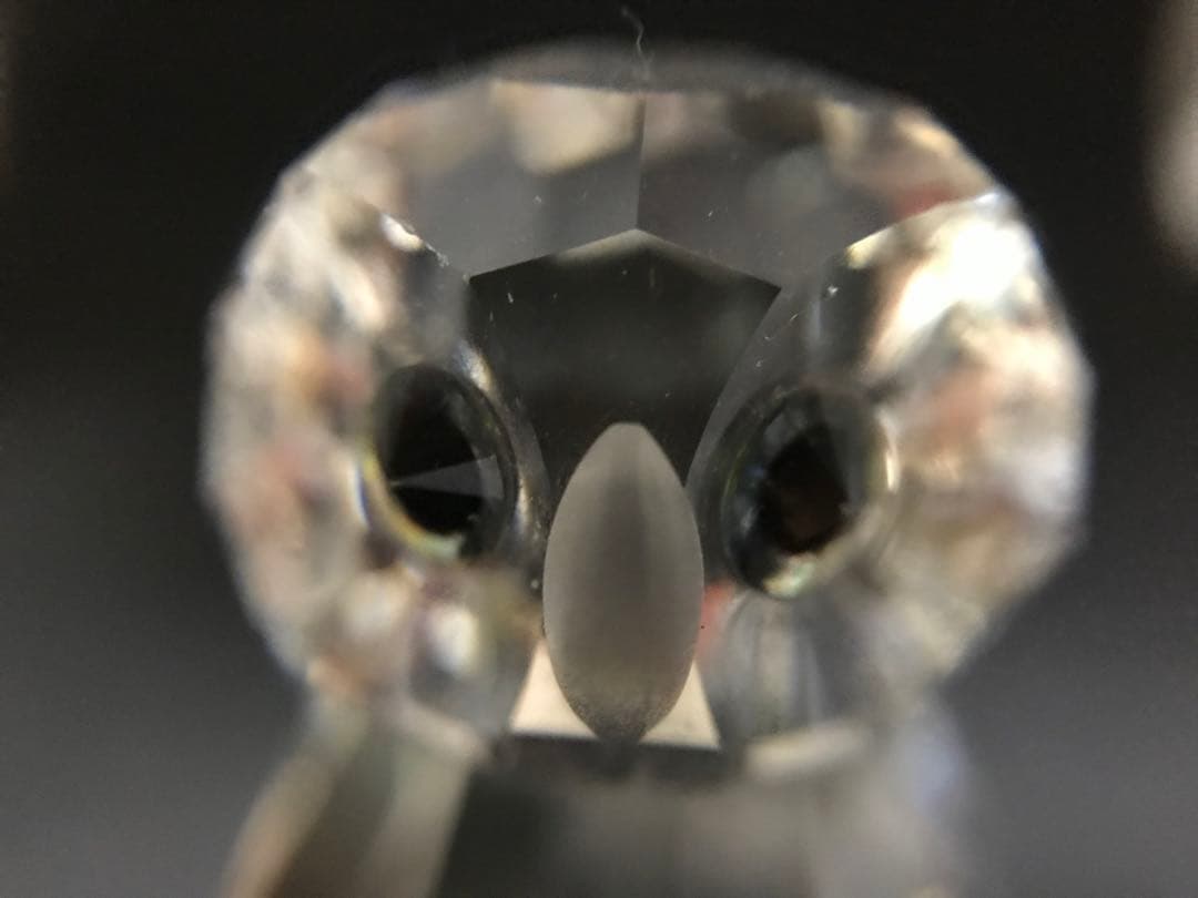 スワロフスキー　夜のフクロウ・フクロウの子供