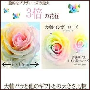 【高級プリザーブドフラワー】大輪パステルレインボーローズ 　ガラスドーム