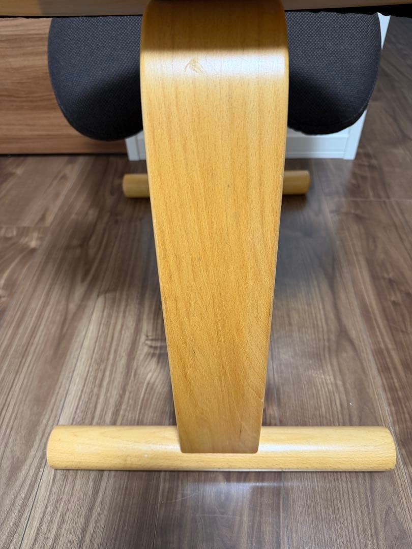 バランスチェア•イージー（黒）＋専用カバー（赤）