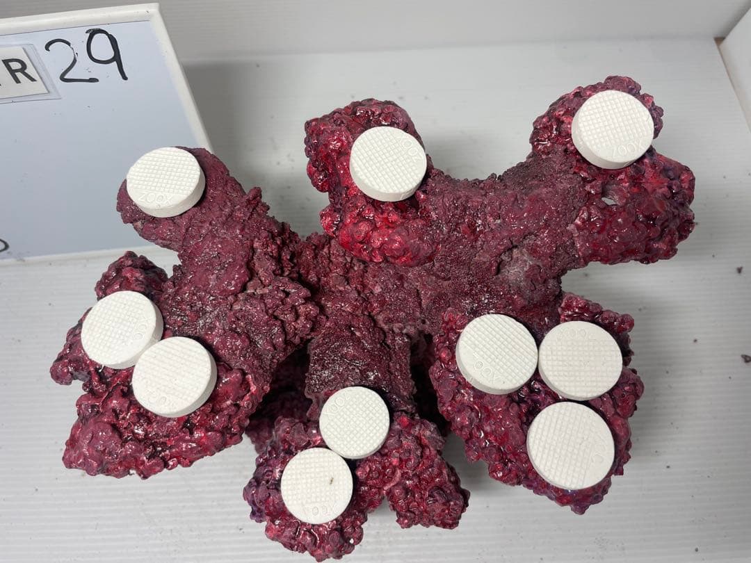 【送料無料】人工ライブロック　PHR29／10穴加工　アク抜き済み安心塗料使用