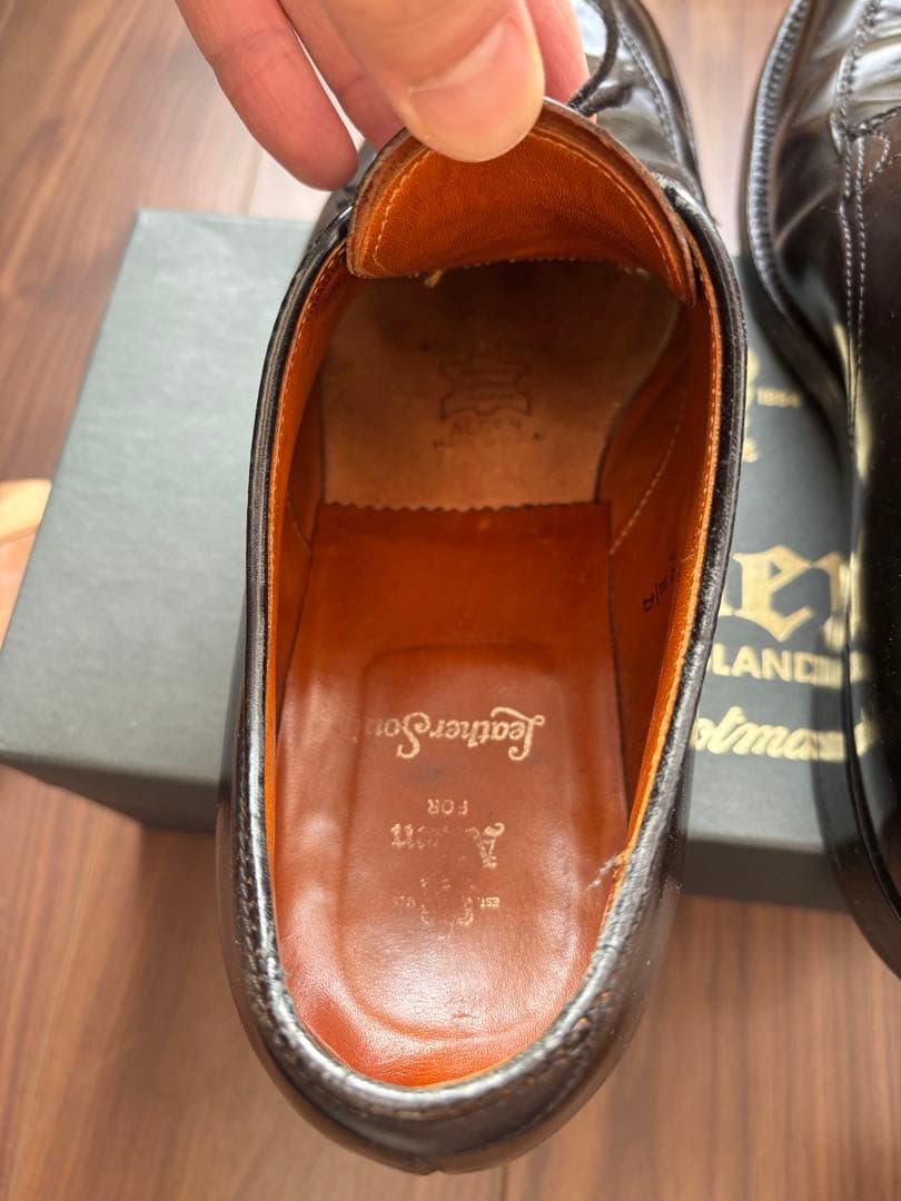 Alden コードバンvチップ ブラック9 1/2