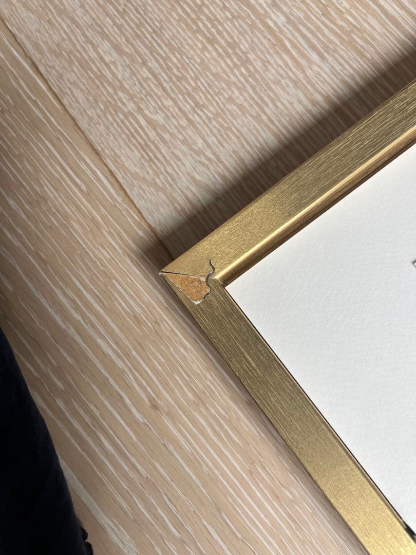 花井祐介　　東山動植物園　アートプリント　額入り