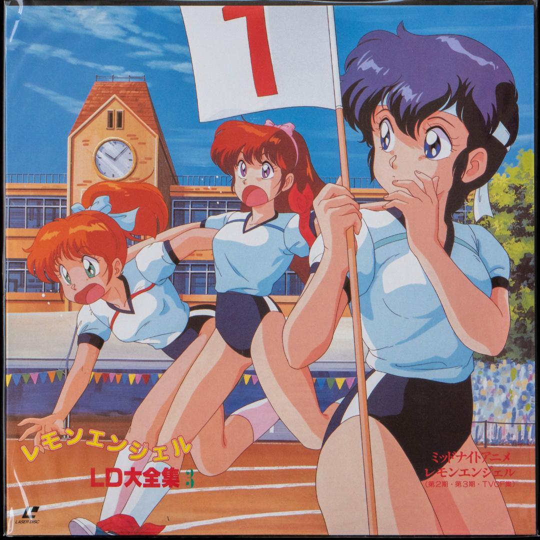 レモンエンジェル LD大全集 LD-BOX 全6枚組 絵本美希 島えりか 桜井智