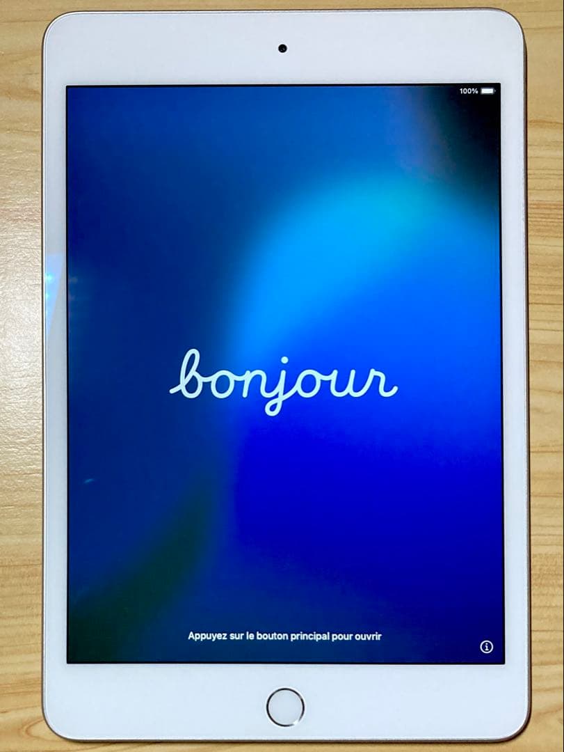 Apple iPad mini (第5世代) 64GB Wi-Fi シルバー