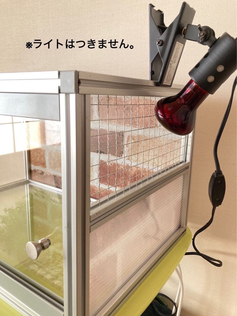 小動物、爬虫類