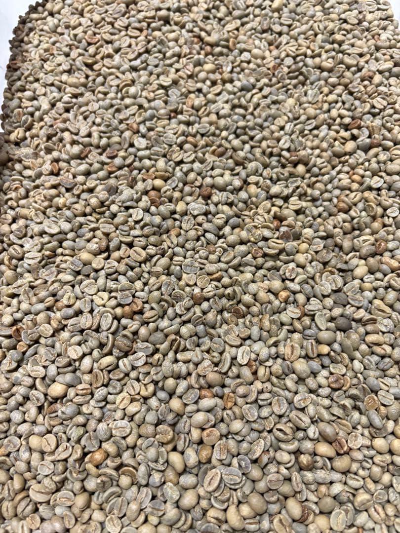 [コーヒー 生豆 ]特別3種合計10kgセット