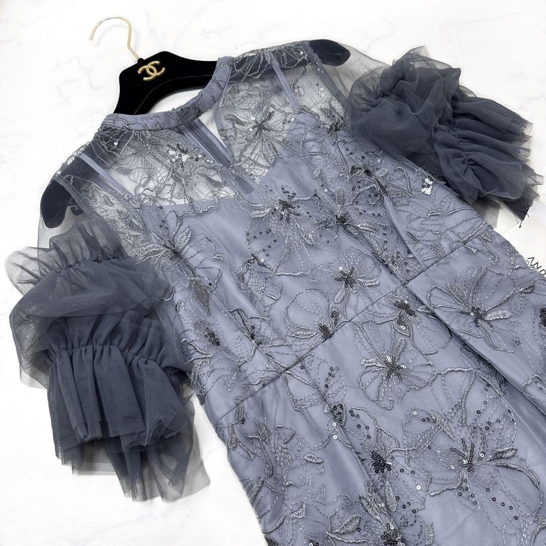 未使用 ANDRESD 袖シフォン スパンコール・刺繍 レースロングドレス M