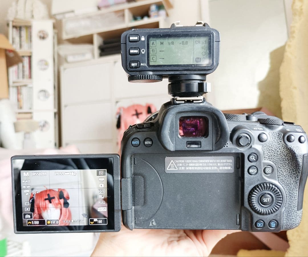 Canon EOS R6 ミラーレスカメラ本体