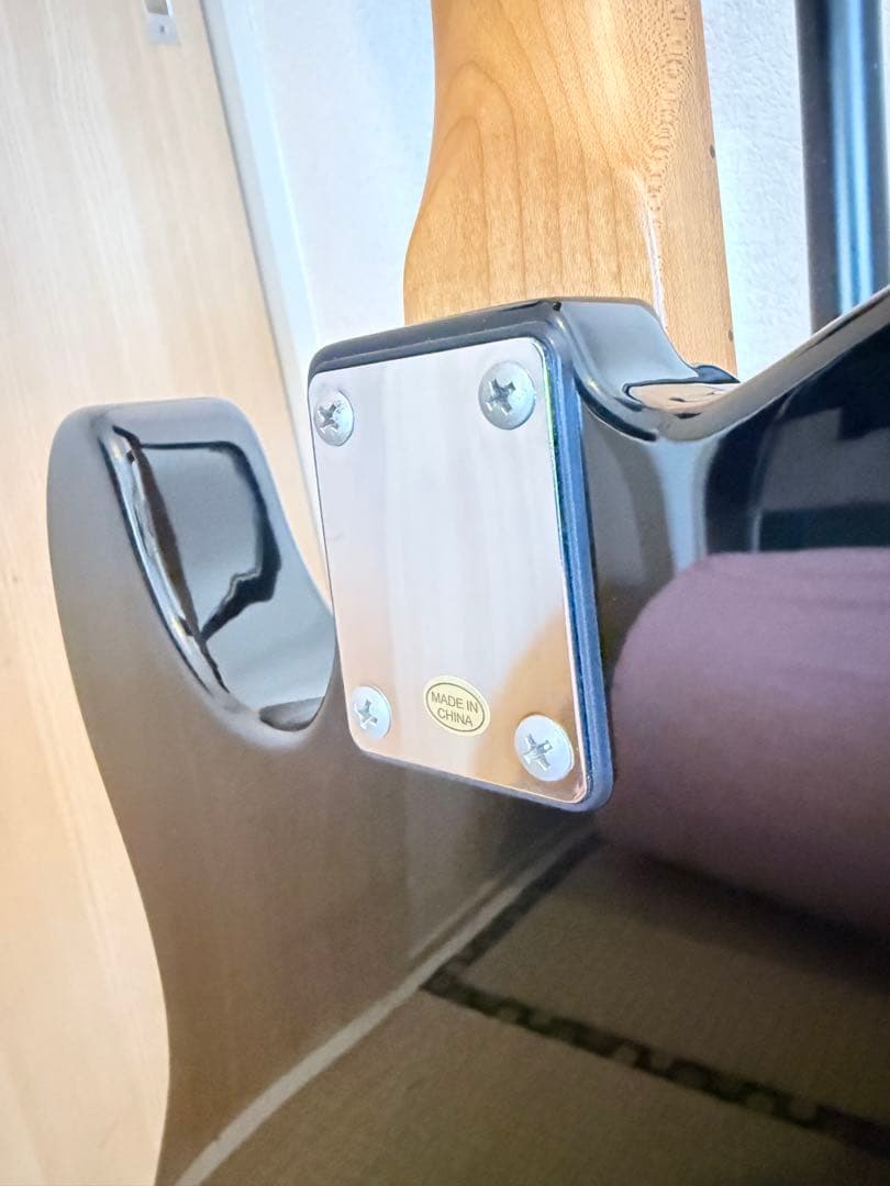 【ほぼ新品】Bacchus BTE-1-RSM/M BLK