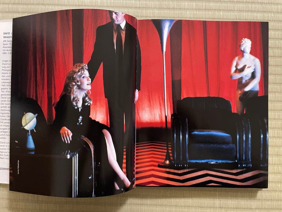 IMAGES　DAVID LYNCH　デイヴィッド・リンチ〈洋書〉