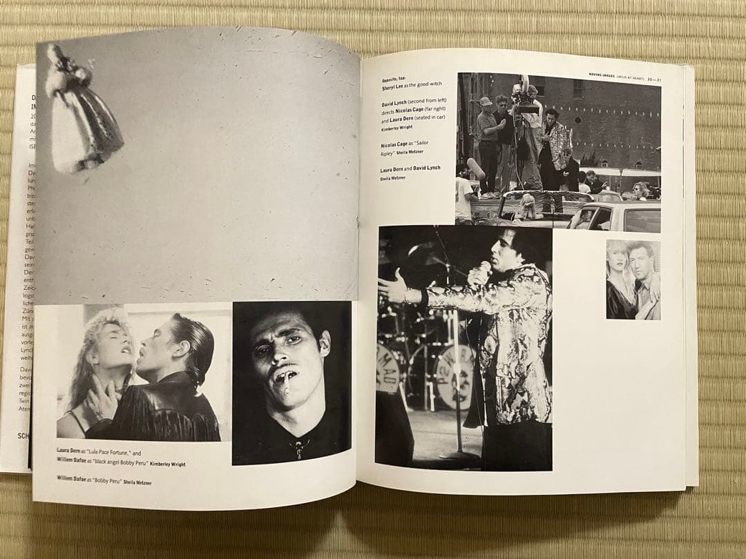 IMAGES　DAVID LYNCH　デイヴィッド・リンチ〈洋書〉