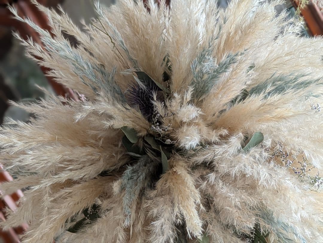 ドライフラワー★特大ふわふわパンパスフライングボール★アレンジメント　店舗にも♪