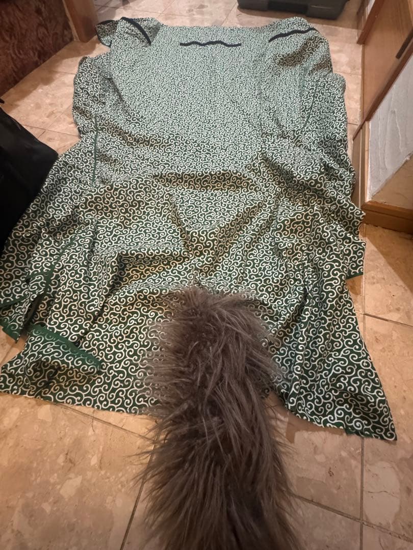 時代物 木彫獅子頭 朱漆塗金彩 幅54cm 獅子舞 神楽面 魔除 縁起物 骨董品