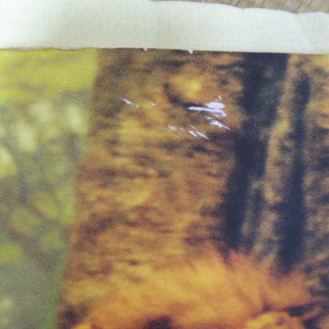 氷室京介 写真集