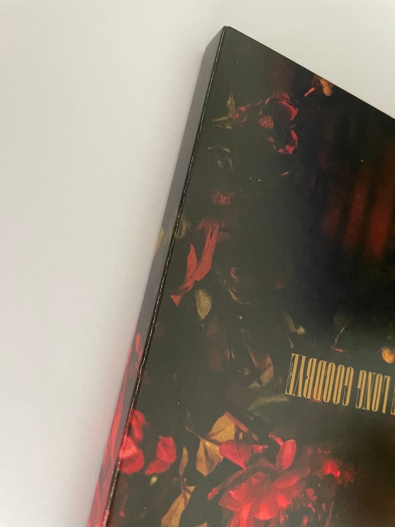 ロング・グッドバイ DVD BOX 浅野忠信 綾野剛