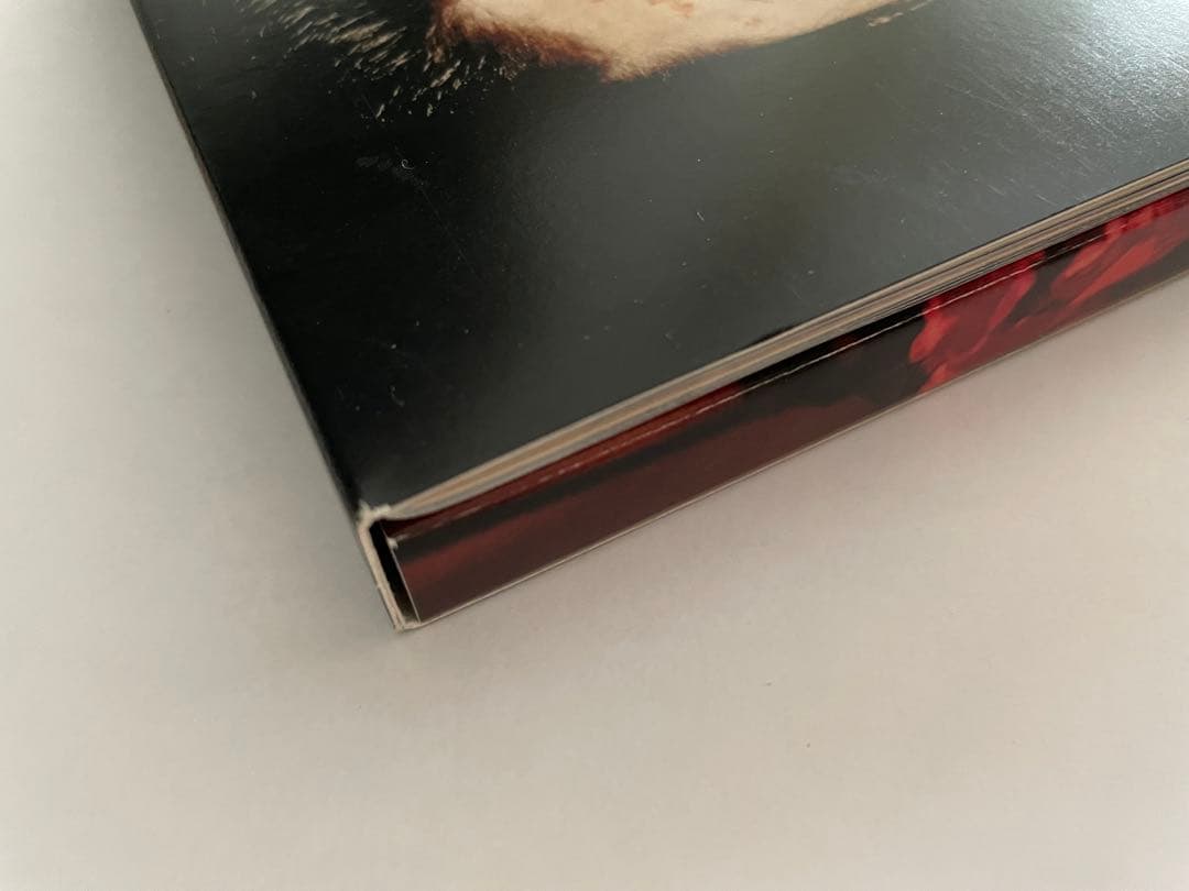 ロング・グッドバイ DVD BOX 浅野忠信 綾野剛