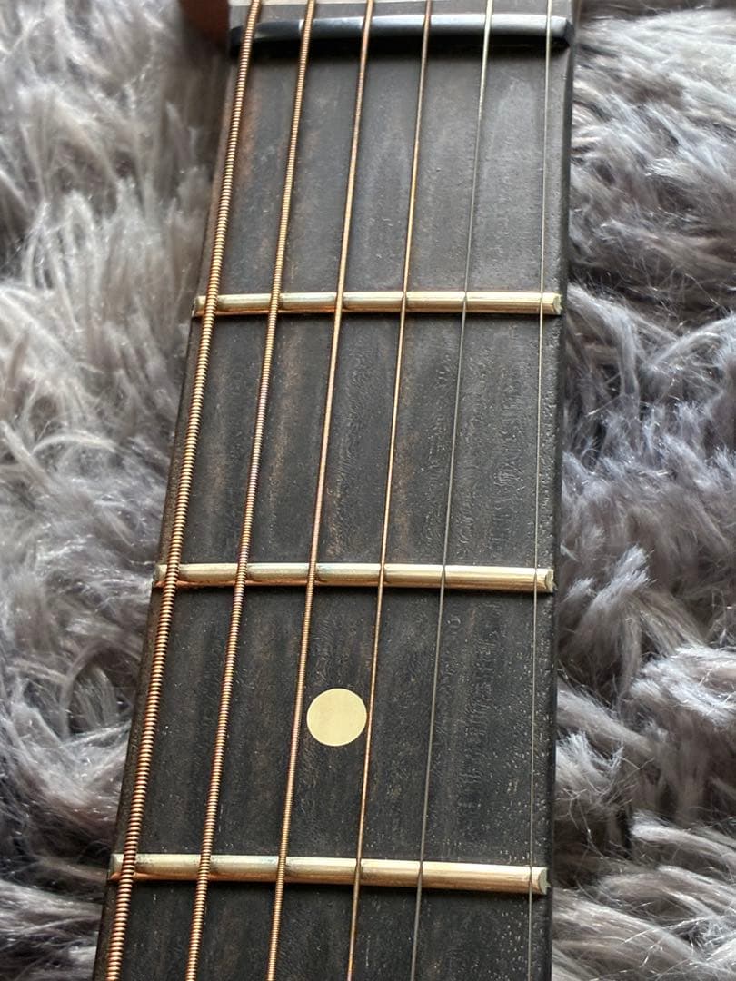 ギター Fender USA Acoustasonic Pink Paisley