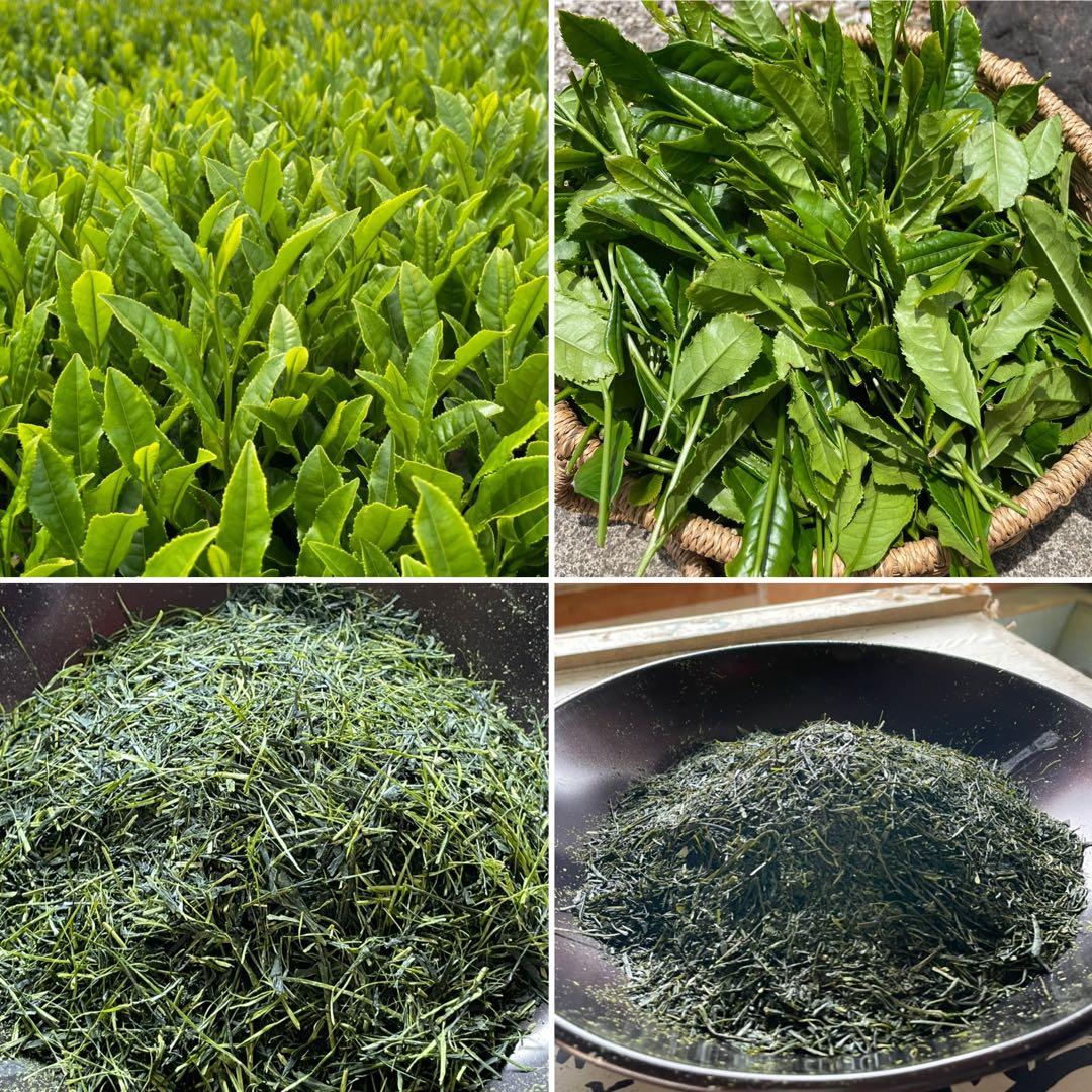 【専用】新茶☆茶畑直販☆煎茶1袋x2.5kg一番茶100%本年度産深蒸し緑茶茶葉