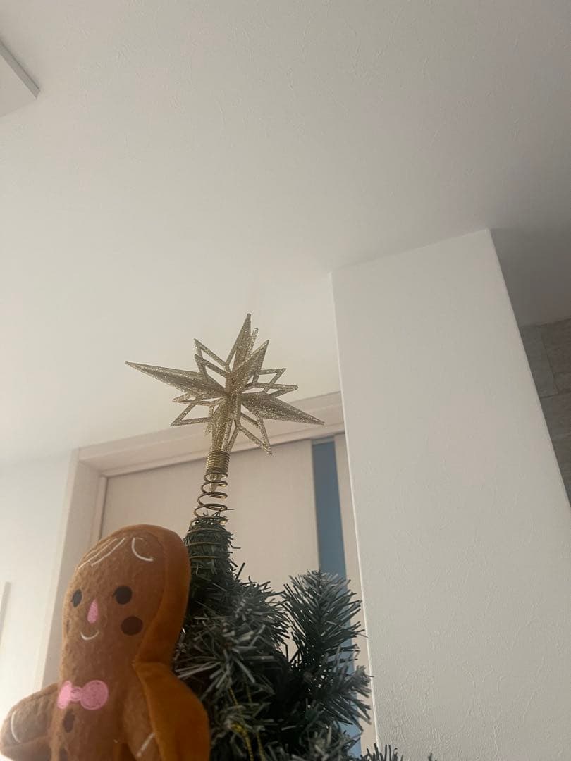 クリスマスツリー 北欧 おしゃれ ドイツトウヒツリー240cm ヌードツリー