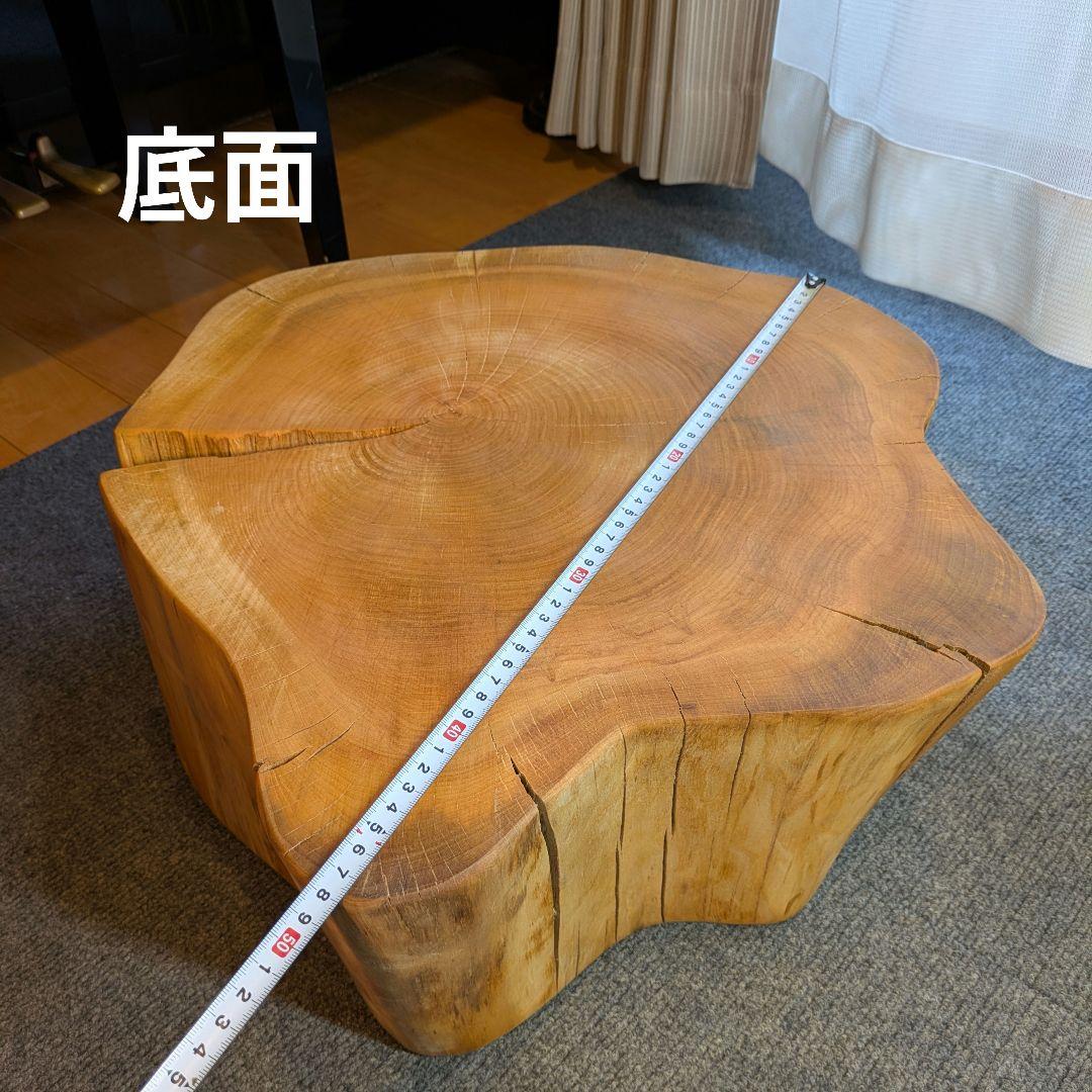 山桜　天然木　切り株　輪切り　高さ約19.5㎝