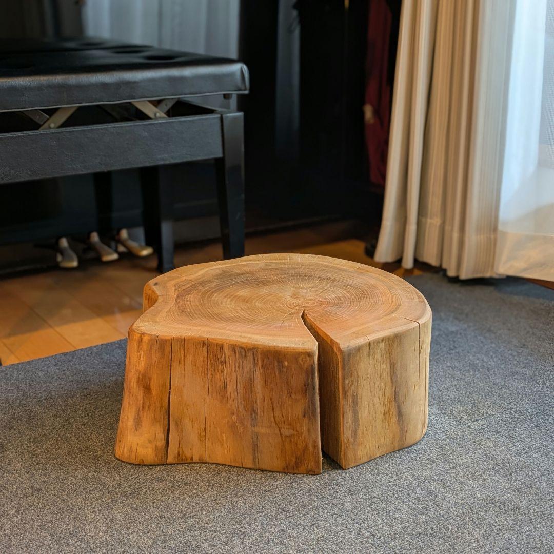 山桜　天然木　切り株　輪切り　高さ約19.5㎝