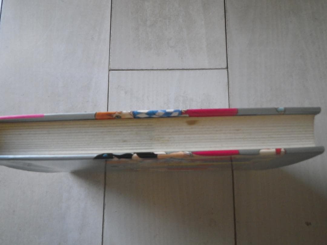 DタウンCロック 鴨川つばめ 著者サイン本 レア本 マカロニほうれん荘 送料込み