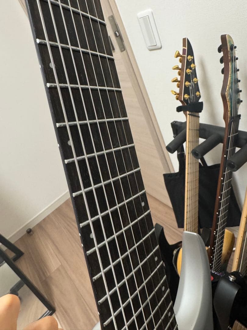 Ibanez ( アイバニーズ ) RGDMS8-CSM 8弦