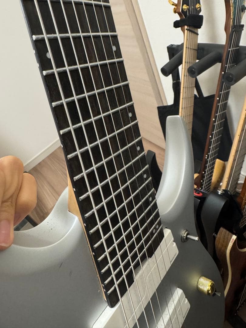 Ibanez ( アイバニーズ ) RGDMS8-CSM 8弦