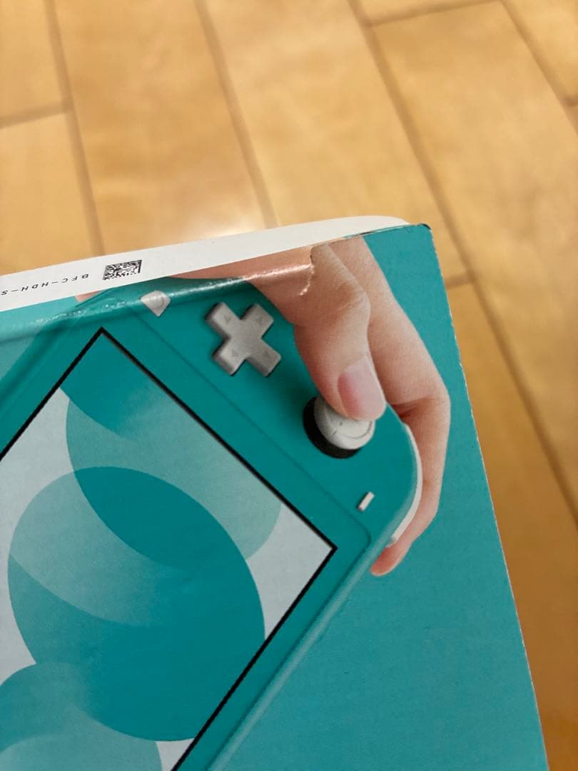 ニンテンドーSwitch Lite 任天堂 本体 訳あり ジャンク品