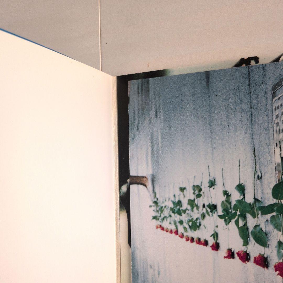 PICNIC　ピクニック　映画　ポストカード　パンフレット　岩井俊二　浅野忠信