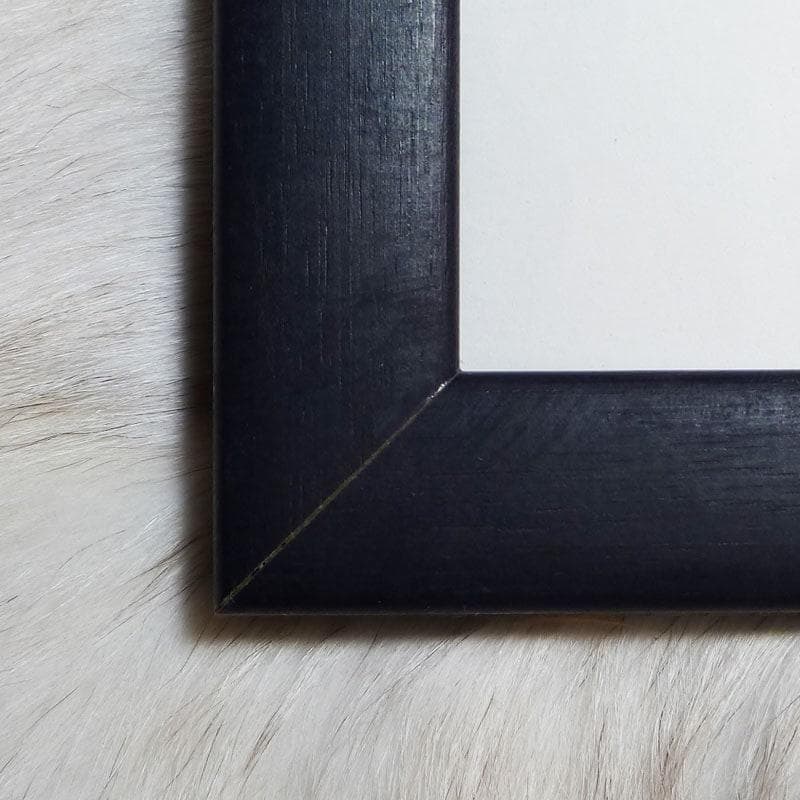 限定品！額装済/The Blue Sofa（ミヒャエル ゾーヴァ）/ポスター