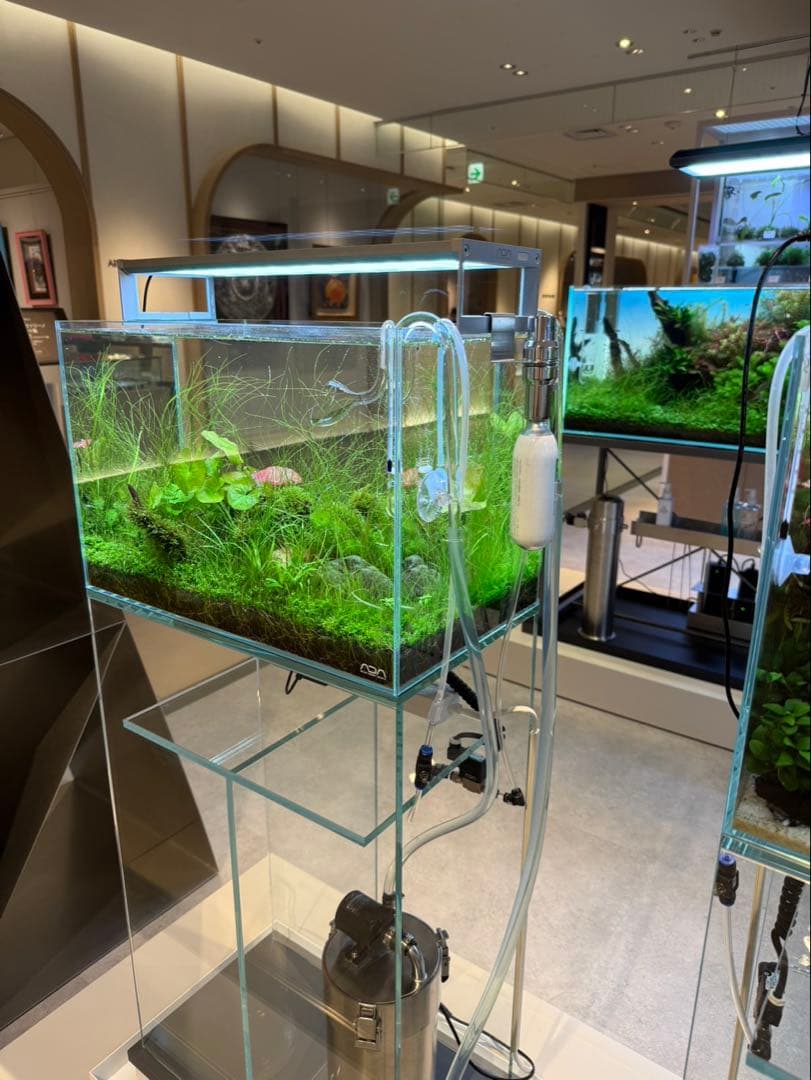 2/10まで！[ADA制作品] ADA アクアリウム 水槽 45cm セット