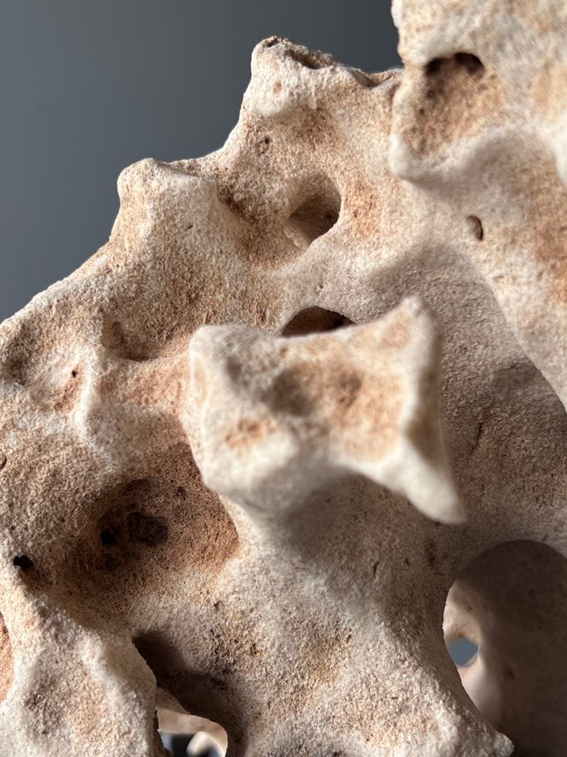 「星漢」　天然石　鑑賞石　飾り石　中国美術　置物　太湖石　台座付き　インテリア