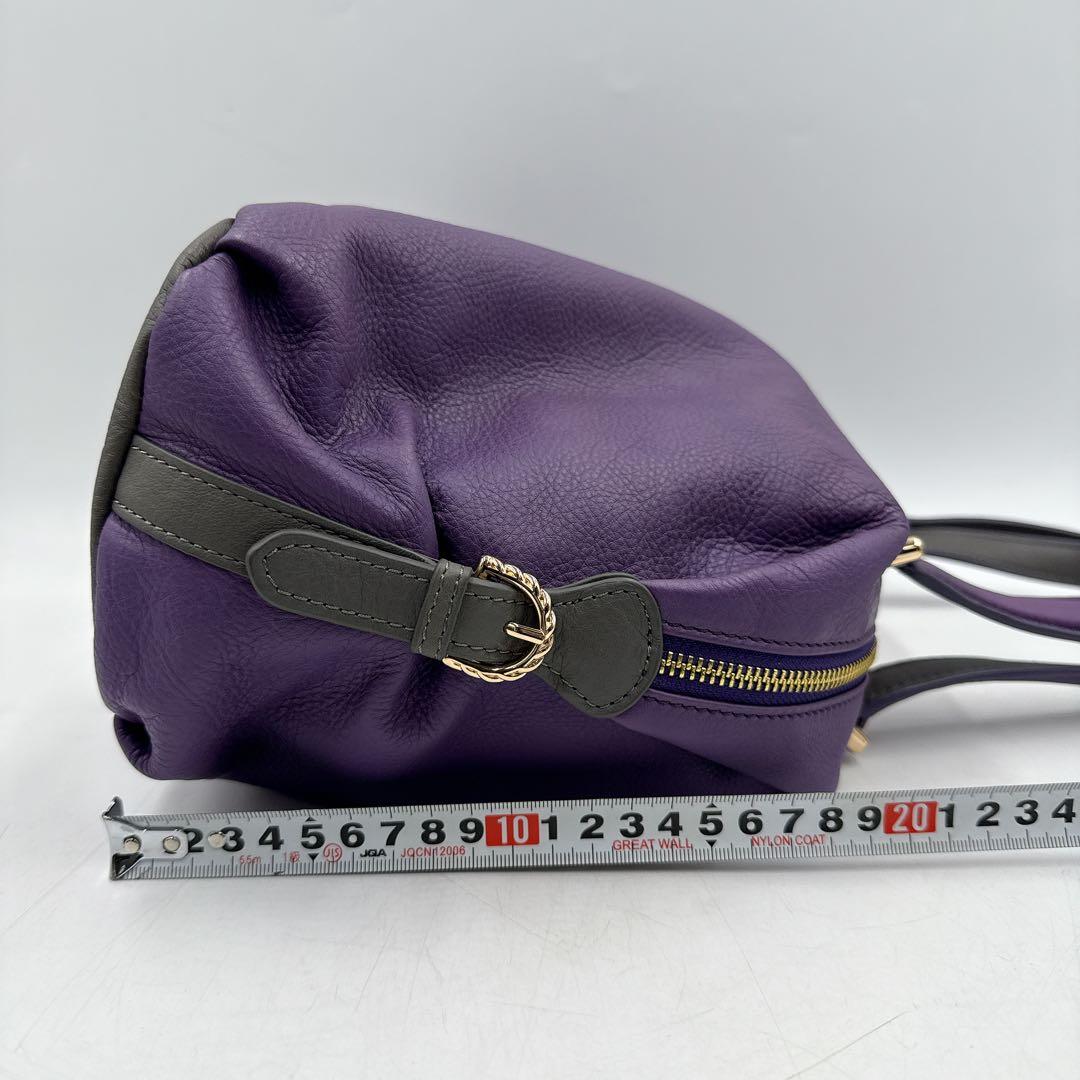 【未使用】CHARRIOL シャリオール ハンドバッグ パープル