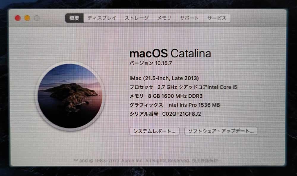 Macデスクトップ Apple iMac 21.5 Late 2013 8GB 1TB