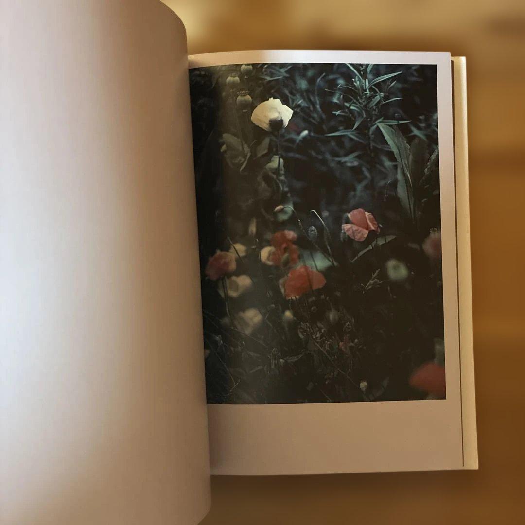 Darren Almond 写真集The Civil Dawns