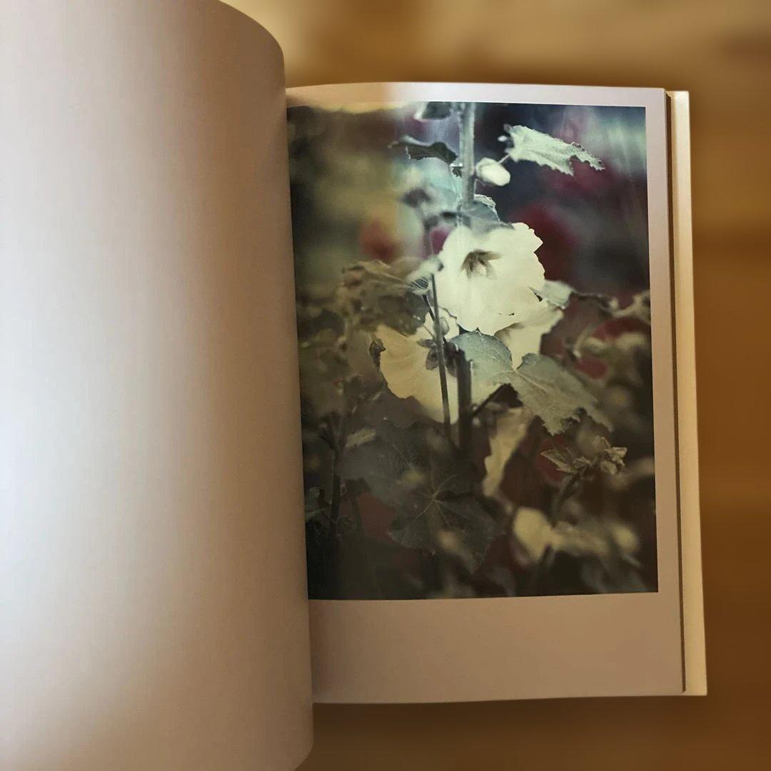 Darren Almond 写真集The Civil Dawns