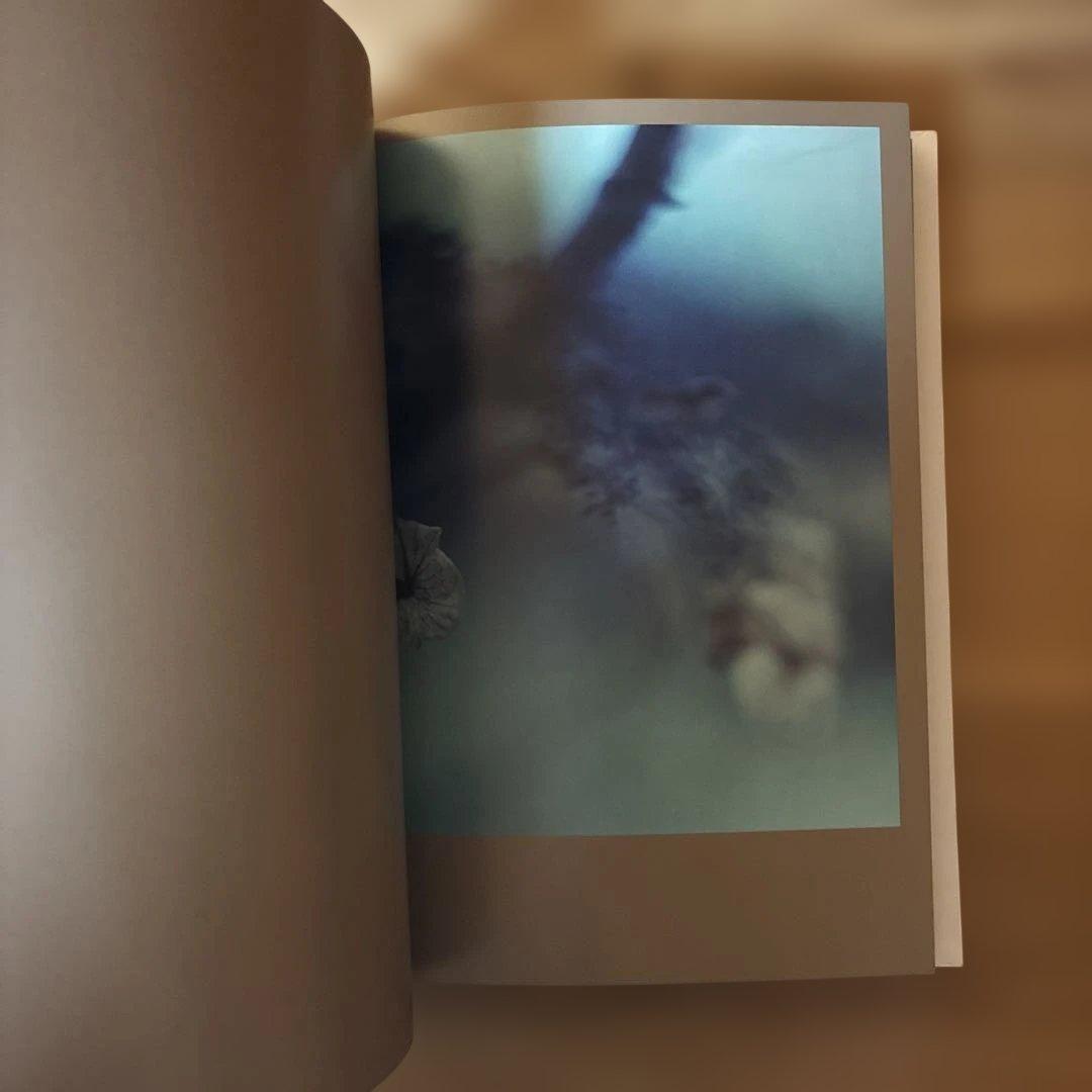 Darren Almond 写真集The Civil Dawns