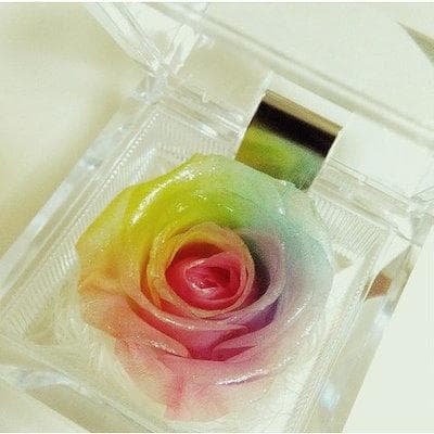 【高級プリザーブドフラワー】パステルレインボーローズ ジュエリー