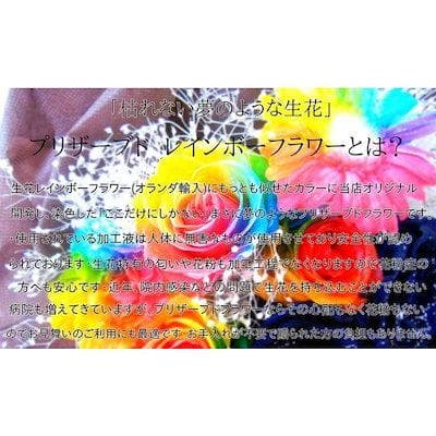 【高級プリザーブドフラワー】パステルレインボーローズ ジュエリー