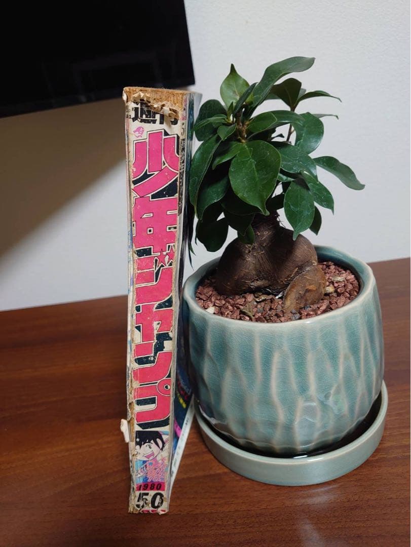 週間少年ジャンプ 1980年 50号