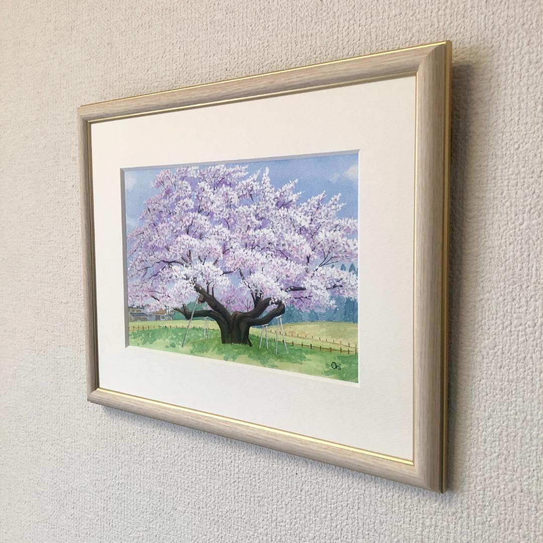 透明水彩画　原画　「根尾谷淡墨桜」額縁付　SMサイズ　風景画