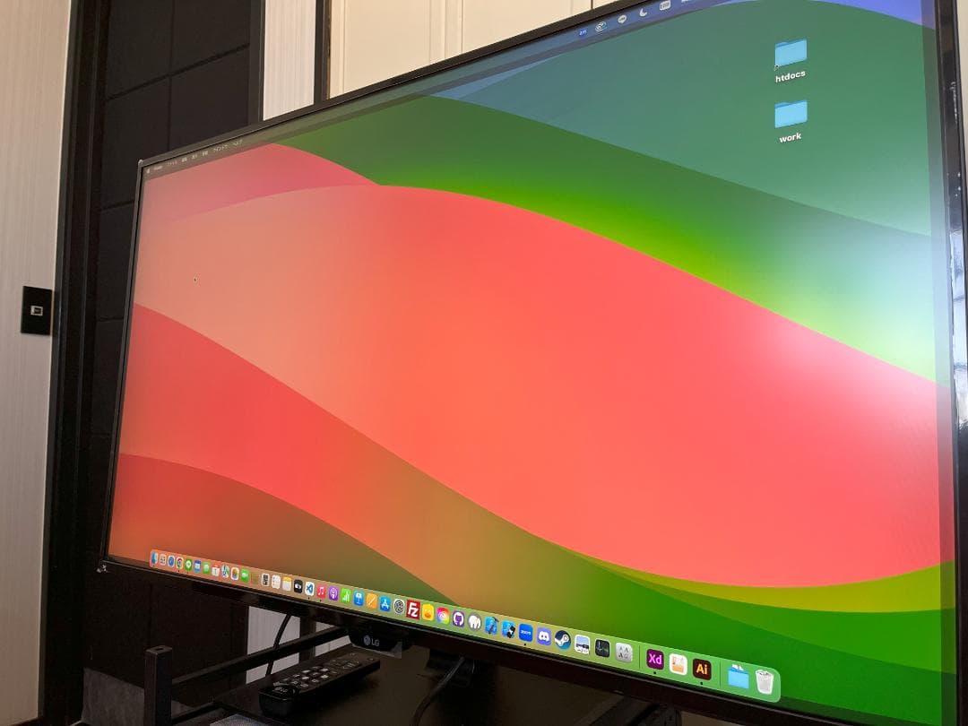 LG 42.5インチ 大画面IPS 4Kモニター / 43UD79-B