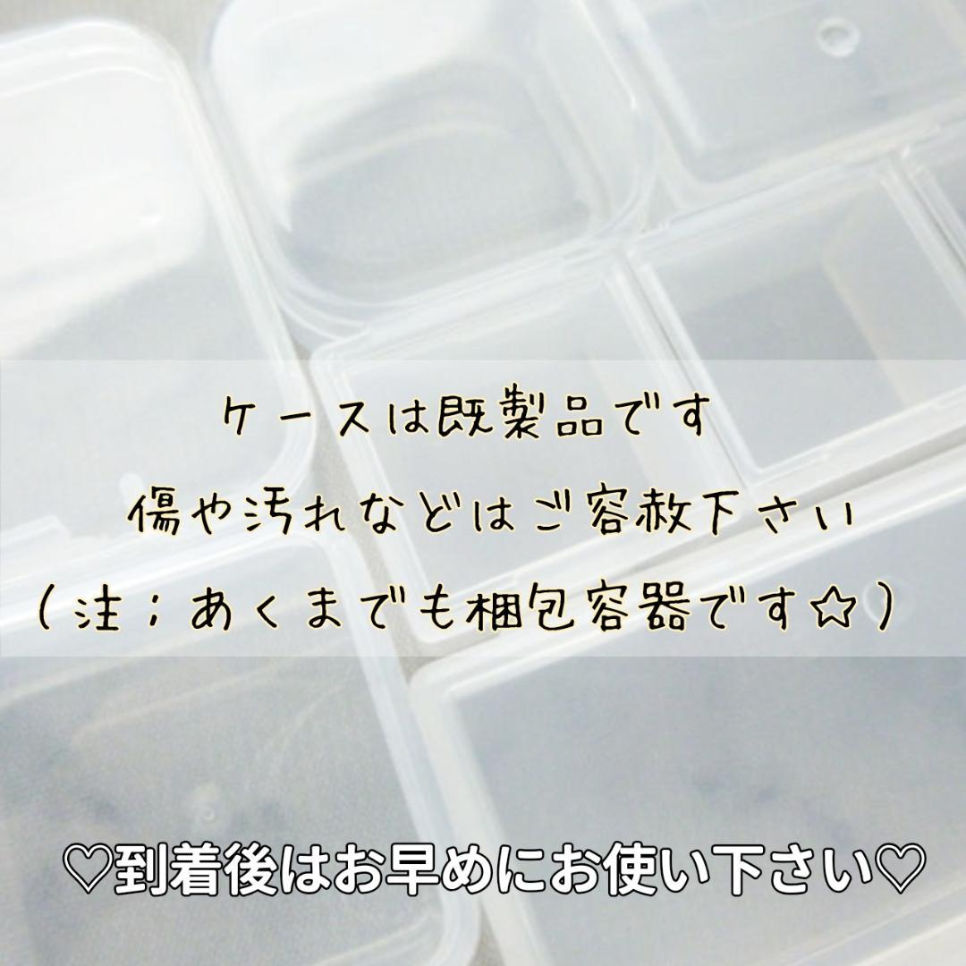 biidoro.0708様◆【ドライフラワー】かすみ草の蕾 着色（824）