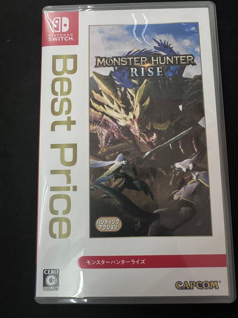 【美品】Nintendo Switch Lite グレー 本体 モンハンライズ付