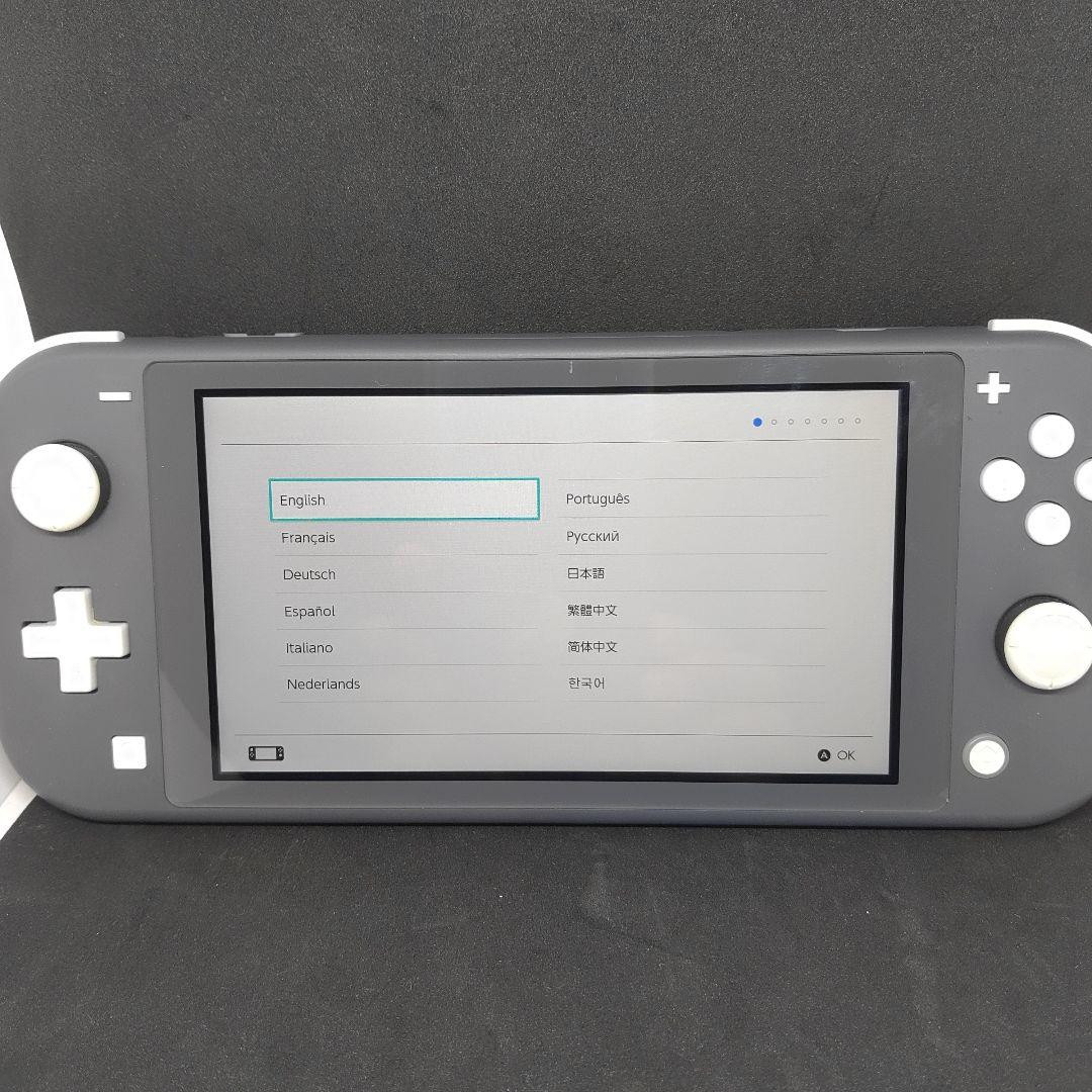 セール中！美品　任天堂スイッチ ライト 充電アダプタ付き　Switch LITE