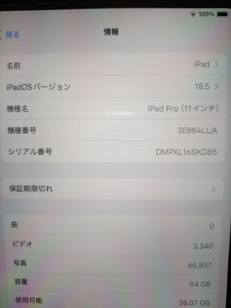 SIMフリー Apple iPadPro 11インチ 64GB 2018年