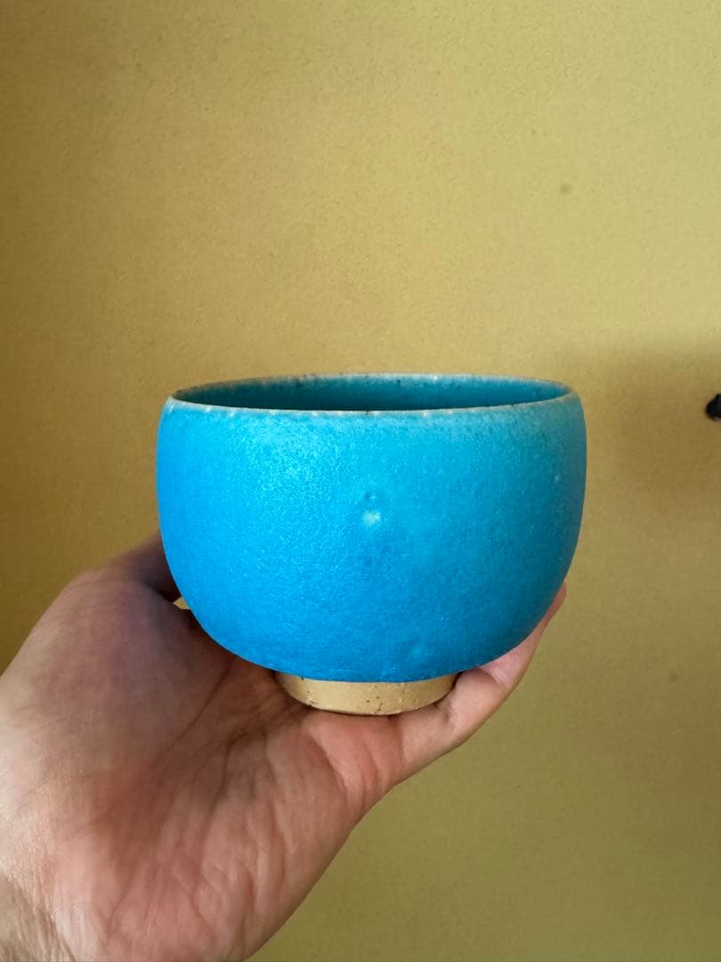 山田想　青茶碗　常滑　人気作家