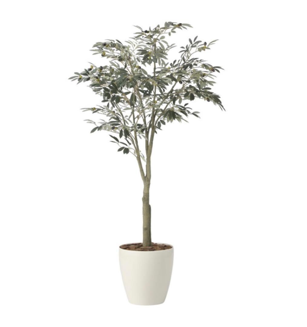 光触媒　人工観葉植物　ウォールグリーン　フェイクグリーン　オリーブツリー1.85