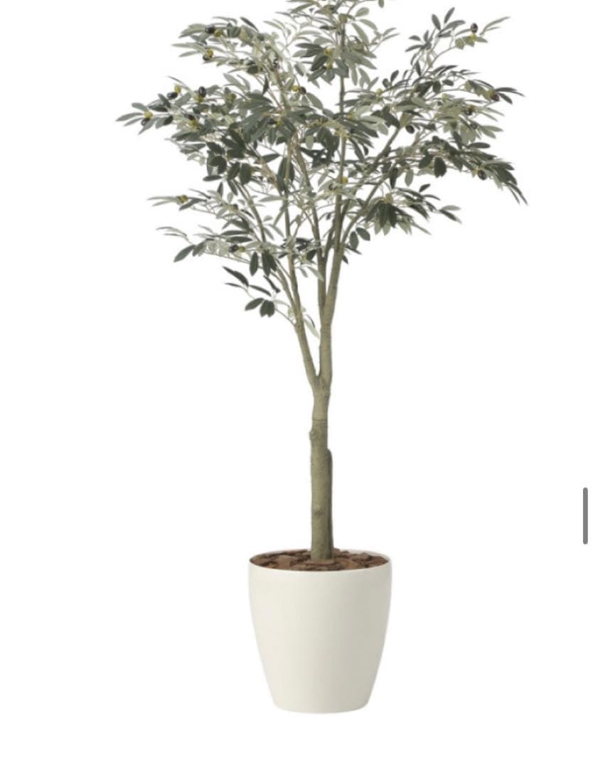 光触媒　人工観葉植物　ウォールグリーン　フェイクグリーン　オリーブツリー1.85